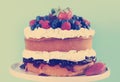 Sponge Layer Cake with fresh whipped cream and berries, with retro filter. Royalty Free Stock Photo