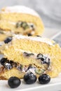 sponge roulade cake Royalty Free Stock Photo