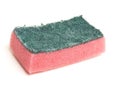 Sponge Scourer