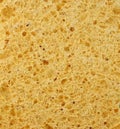 Sponge structure from cellulose