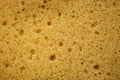 Sponge Texture Background. Closeup Macro Shot Royalty Free Stock Photo