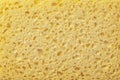 Sponge texture background Royalty Free Stock Photo