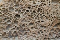 Sponge texture stone Royalty Free Stock Photo