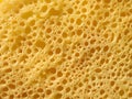 Sponge Texture with Yellow and Cream Organic Pattern Royalty Free Stock Photo