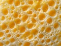 Sponge Texture with Yellow and Cream Organic Pattern Royalty Free Stock Photo