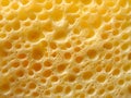 Sponge Texture with Yellow and Cream Organic Pattern Royalty Free Stock Photo