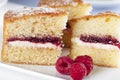 Spongecake and Raspberries Royalty Free Stock Photo