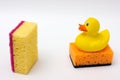 Sponges for washing dishes on a white background with a white glove and a yellow duckling Royalty Free Stock Photo