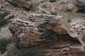 Spongy stone in Gobustan, Azerbaijan