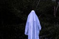 a spook ghost, covered in a white sheet. Standing in a scary dark haunted forest