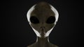 Spooky alien`s face on black background. 3D rendered illustration. Royalty Free Stock Photo