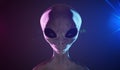 Spooky alien`s face on black background. Red and blue lights. 3D rendered illustration. Royalty Free Stock Photo