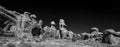 Spooky Arches National Park Landscape in Black and White. Royalty Free Stock Photo
