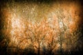 Spooky art grunge background with trees Royalty Free Stock Photo