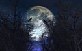 Spooky background with crows in trees against moonlit sky