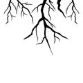 Spooky bare tree branches vector illustration. Hand drawn silhouette bare tree branches silhouette Royalty Free Stock Photo