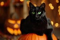 A spooky black cat with glowing green eyes sitting on a pumpkin Halloween Cat on pumpkin Royalty Free Stock Photo