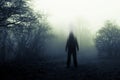 A spooky, blurred, ghostly hooded figure on standing on a path on a foggy winters day. With a muted, old edit.