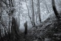 A spooky blurred, silhouette figure, standing on a path in the middle of a sinister, misty forest. With a grunge, grainy, vintage