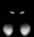 Spooky cat cats eyes and paws in the dark black background. Gray Eye Royalty Free Stock Photo