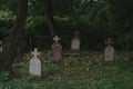 Spooky cemetery in the forest Royalty Free Stock Photo