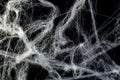 Spooky cobwebs against black background Royalty Free Stock Photo