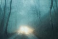 A spooky concept of car headlights on a track in a forest on a moody, foggy winters evening. With a grunge, abstract edit. England