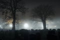 A spooky concept of a cemetery on a foggy winters night. With graves silhouetted by street lights