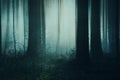 A spooky concept of trees silhouetted in a dark spooky forest in winter. With a grunge, artistic, edit