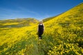 Spooky, creepy blonde woman wearing green alien sunglasses in a field of goldfield wildflowers in Carrizo Plain National Monument