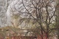 Spooky Creepy Details of Concrete Wall with Bare Trees on a Atmospheric Dreary Day