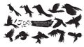 Spooky crow silhouette collection of Halloween vector isolated o Royalty Free Stock Photo