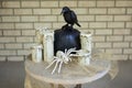 Spooky crow and spider table decorations