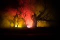 Spooky dark landscape showing silhouettes of trees in the swamp on misty night. Night mysterious landscape in cold tones - Royalty Free Stock Photo