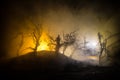 Spooky dark landscape showing silhouettes of trees in the swamp on misty night. Night mysterious landscape in cold tones -