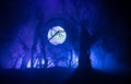 Spooky dark landscape showing silhouettes of trees in the swamp on misty night. Night mysterious landscape in cold tones -
