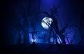 Spooky dark landscape showing silhouettes of trees in the swamp on misty night. Night mysterious landscape in cold tones - Royalty Free Stock Photo