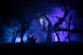 Spooky dark landscape showing silhouettes of trees in the swamp on misty night. Night mysterious landscape in cold tones - Royalty Free Stock Photo