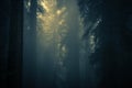 Spooky Dense Forest Fog Royalty Free Stock Photo