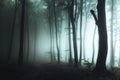 Spooky foggy forest trail. Dark trees in silhouettes with hard light coming from right. Horror landscape Royalty Free Stock Photo