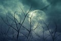 Spooky forest with full moon, dead trees, Halloween background