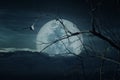 Spooky forest with full moon, dead trees, Halloween background Royalty Free Stock Photo