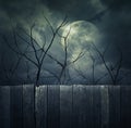 Spooky forest with full moon, dead trees, Halloween background Royalty Free Stock Photo