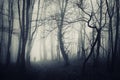 Spooky forest with man walking on a dark path Royalty Free Stock Photo