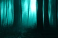 A spooky forest on a misty day in winter. With a blurred, blue green, scary edit