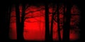 Spooky forest. Red glow of a forest fire. Wildfire. Bushfires