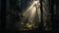 Spooky forest silhouette, mystery in the dark autumn landscape generated by AI