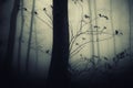 Spooky forest with tree at night Royalty Free Stock Photo