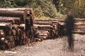 A spooky, ghostly transparent figure, standing by a pile of cut logs in a forest, with a muted, moody edit