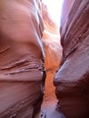 Spooky Gulch slot canyon, at Dry Fork, a branch of Coyote Gulch, Grand Staircase Escalante National Monument, Utah, USA